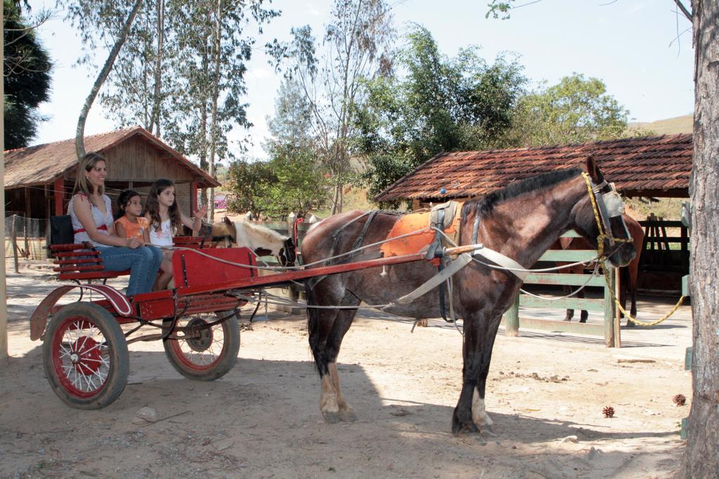 Fazenda Vista Alegre