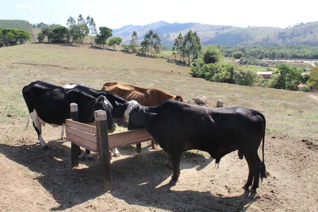 Fazenda Vista Alegre 3*