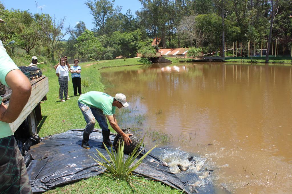 Hotel Fazenda Vista Alegre 3*